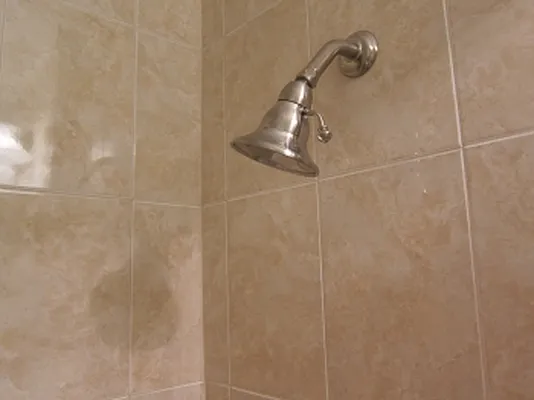 Rented by MNS | media 39