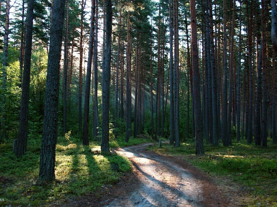2nd image of RAMS HORN Road