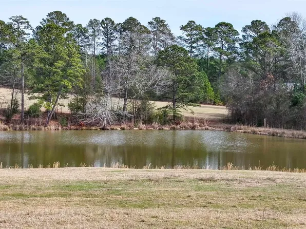 0 Colvin Rd, Forsyth, GA 31029