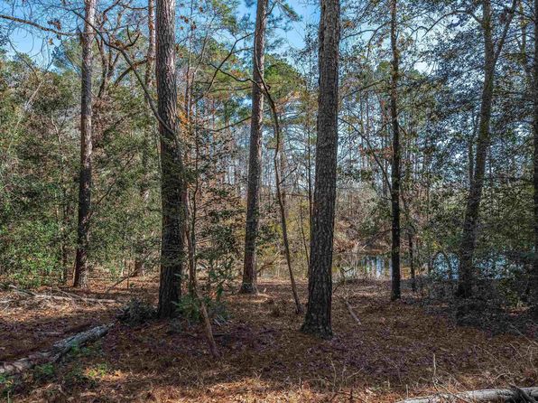 491 Shealy Pond Rd, Monetta, SC 29105