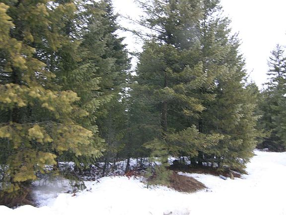 3rd image of 641 Overlook Dr Lot 9