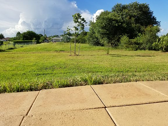 Scenic backyard view