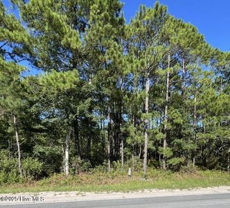 1224 Gray Bridge Road SW, Shallotte, NC, 28470