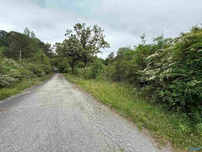 Tol St S, Centre, AL, 35960