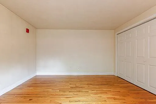 41 Morrell St #3 — Photo 8