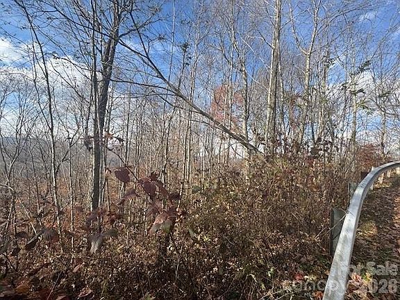 5th image of 50 Scenic Wolf Ridge Rd