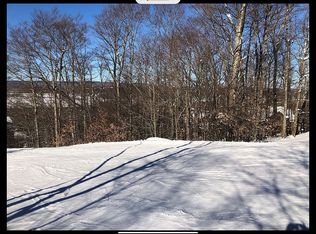 11 Winterset Dr, Davis, WV 26260