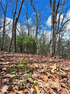 Mountain View Dr #9, Lowgap, NC, 27024