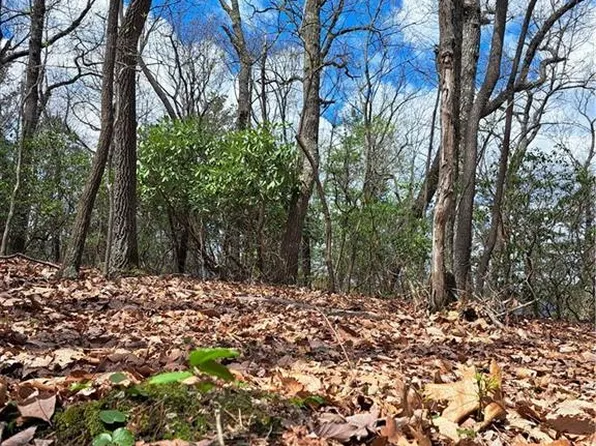 Mountain View Dr Lot 9, Lowgap, NC 27024