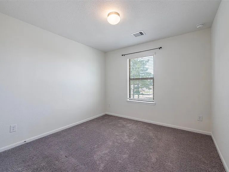 17214 Texas Willow Dr — Photo 32