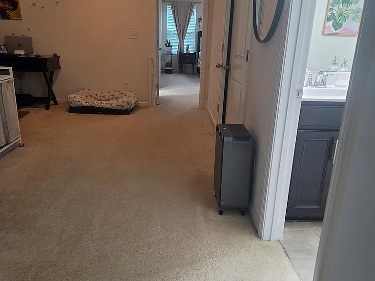 12540 Savannah Cottage Dr — Photo 55