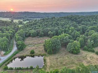 County Road 608, Valley Head, AL 35989