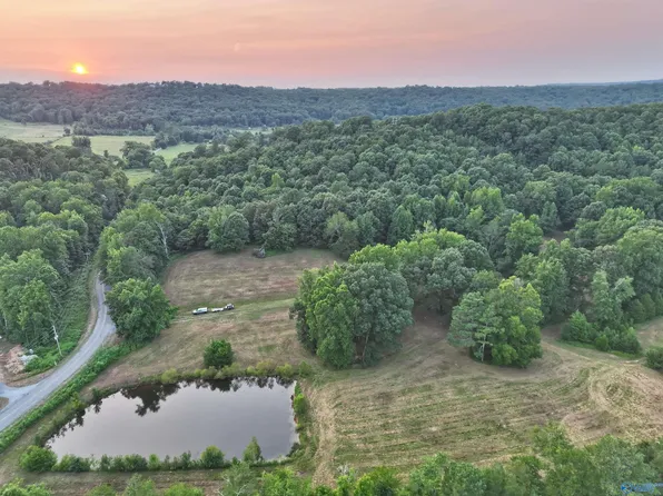 County Road 608, Valley Head, AL 35989