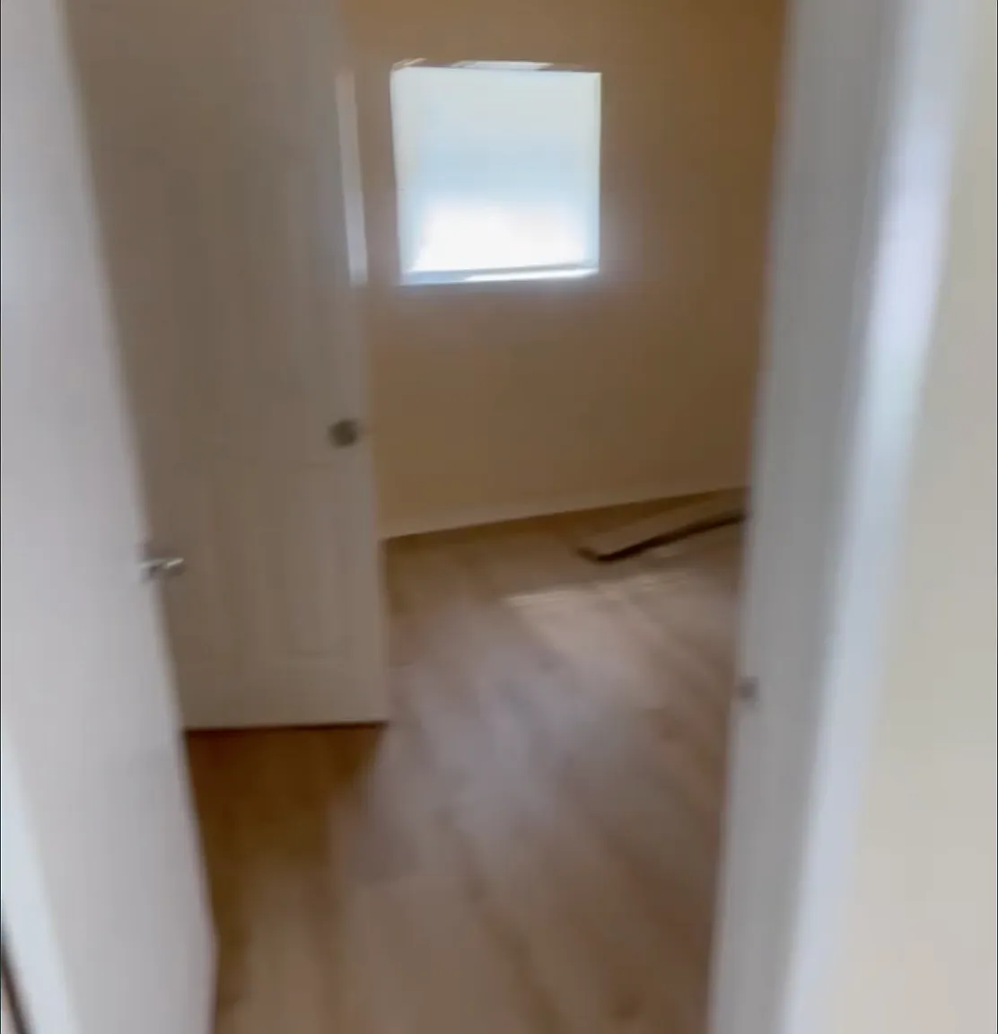 1 bed, 500 sqft, $775 — Photo 3