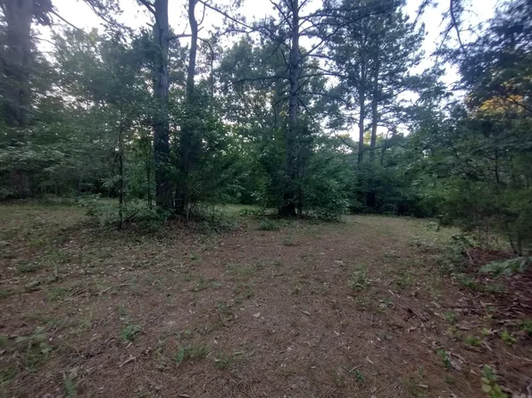 TRACT 3 Alamo Dr, Mountain View, AR 72560