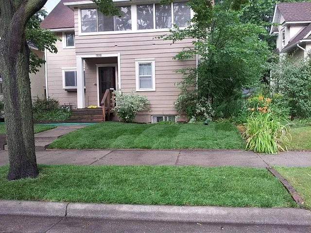 Front of Duples
