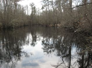 48 George Washington Hales Dr, Atkinson, NC 28421