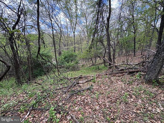 3rd image of Beam Rd
