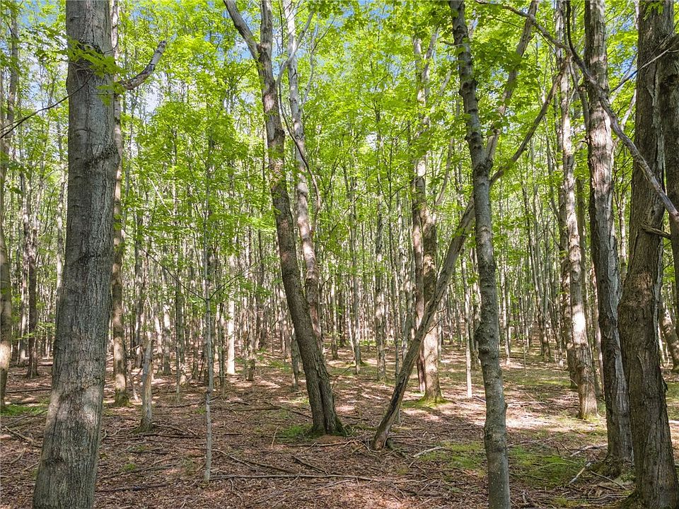 2468 Tower Mountain Rd Stamford NY Zillow