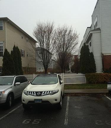 5th image of 118 Neptune Ln #15118