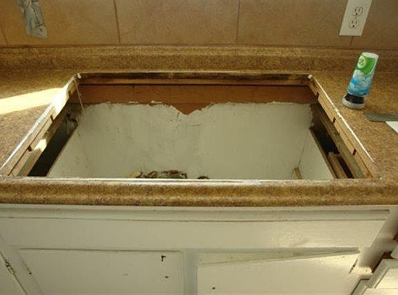 4th image of 4772 E Orleans Ave