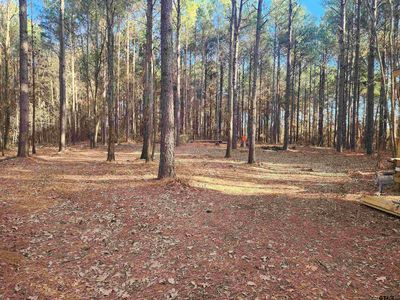 County Road 4313 Lot 6, Pittsburg, TX, 75686