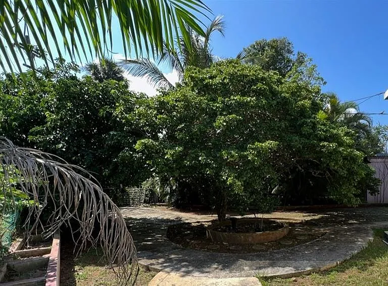Circulo C Casa En Ramey #213-A — Photo 33