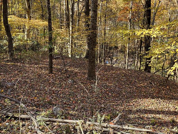 4th image of Tbd Chestnut Mountain Rd
