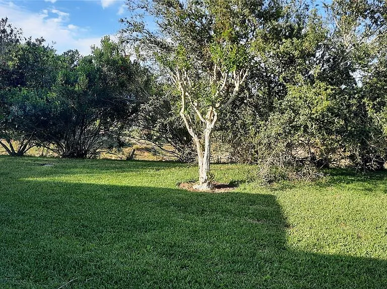 1315 Elli Cir — Photo 3