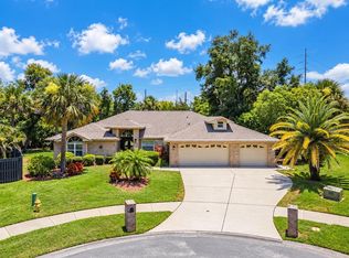 2899 Turtle Ter, Palm Harbor, FL 34683