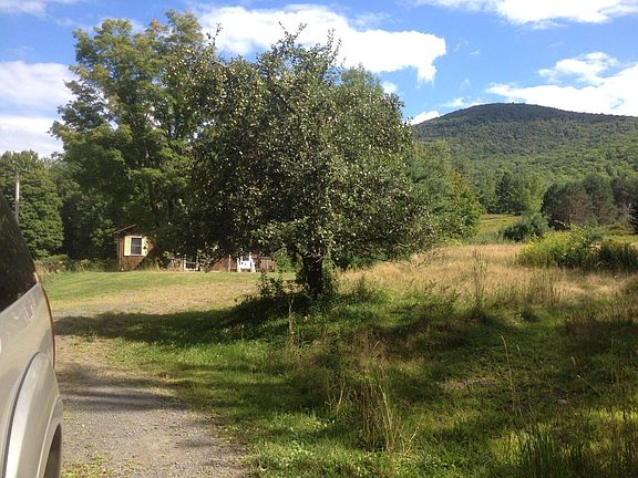 West Kill Mountain in your back yard, private gravel parking area adjacent to house.