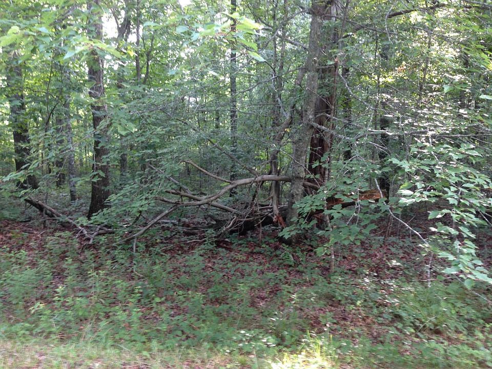 141 Laurelwood Dr