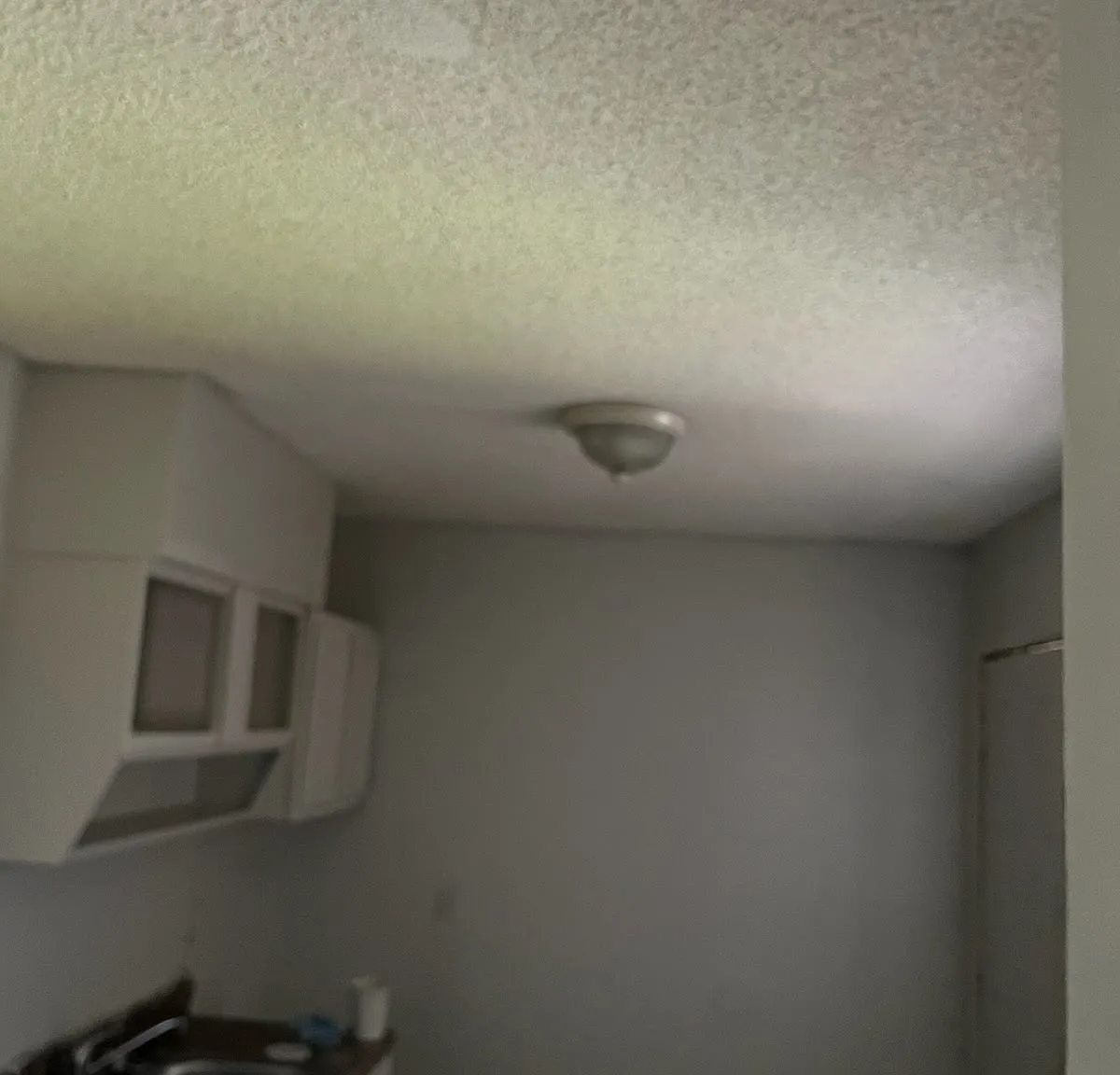 2 bed, 800 sqft, $600 — Photo 2