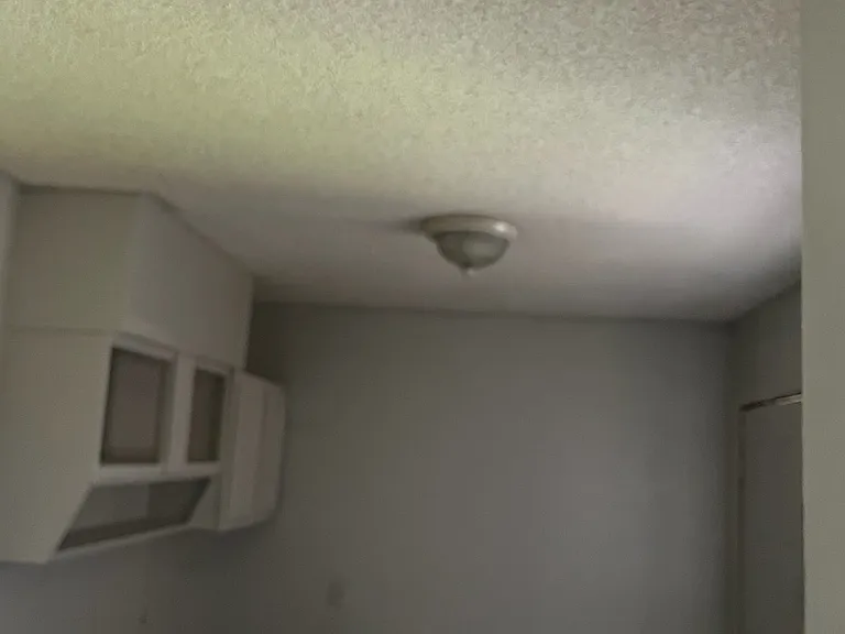 300 Lucy Ave #4 — Photo 2