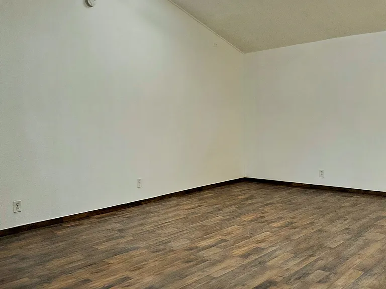 911 Hornblend St — Photo 12