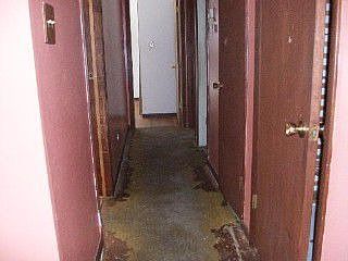 5th image of 4N273 Norris Ave