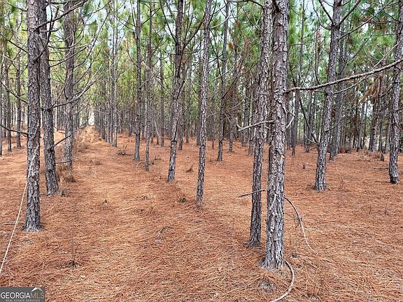 3rd image of 0 Outlaw Grove Rd