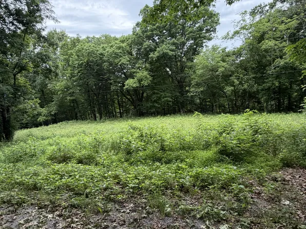 1299 Dixon Town Rd, Prospect, TN 38477