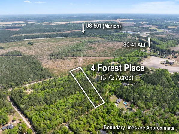 4 Forest Pl, Marion, SC 29571