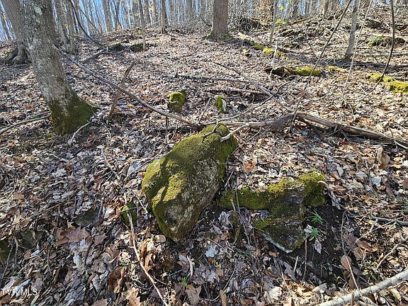 5th image of 0 Shuler Hollow Rd