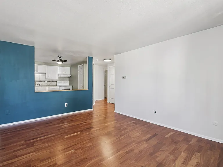 Living room, unfurnished from north window