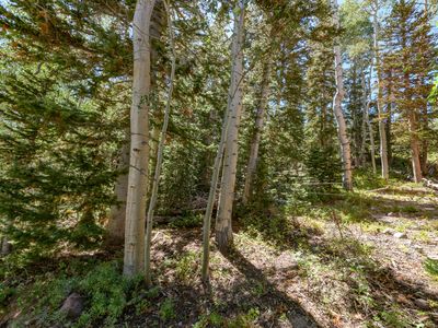 693 W Hunter Ridge Dr, Brian Head, UT, 84719