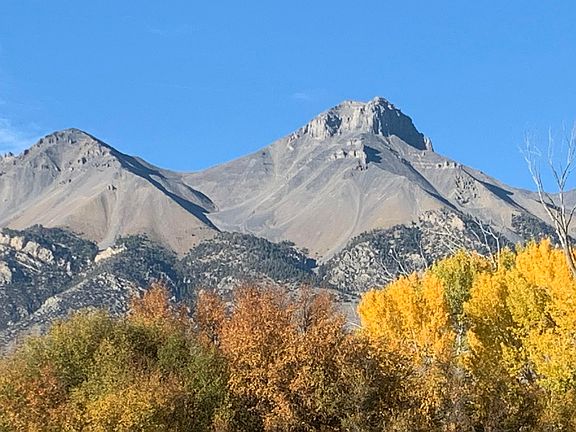 3rd image of 90.95 W Houston Rd