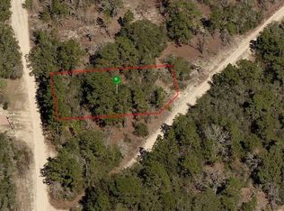 317 Smallwood Ave, Inverness, FL 34452