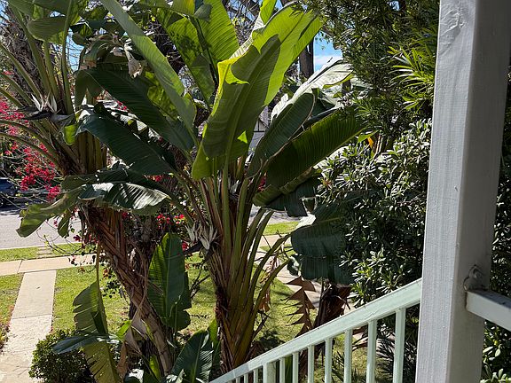 View from porch.