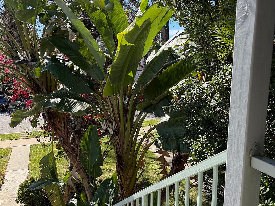 View from porch.