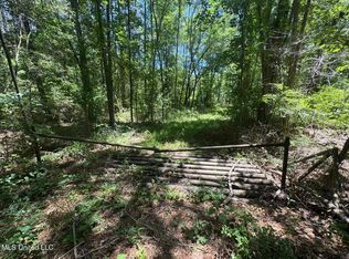 Zion Hill Church Rd, Silver Creek, MS 39663