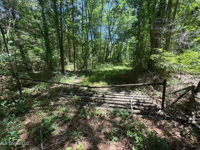 Zion Hill Church Rd, Silver Creek, MS, 39663