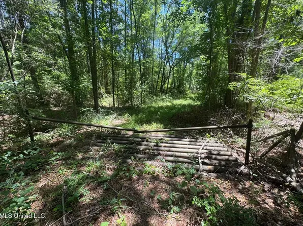 Zion Hill Church Rd, Silver Creek, MS 39663