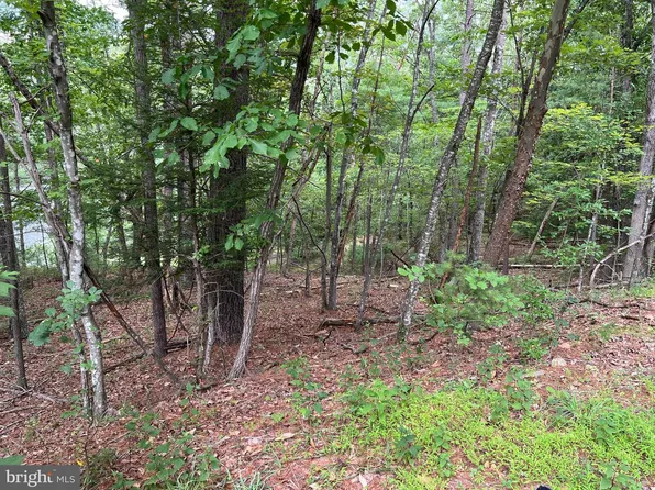 0 Fawn Dr, Basye, VA 22810